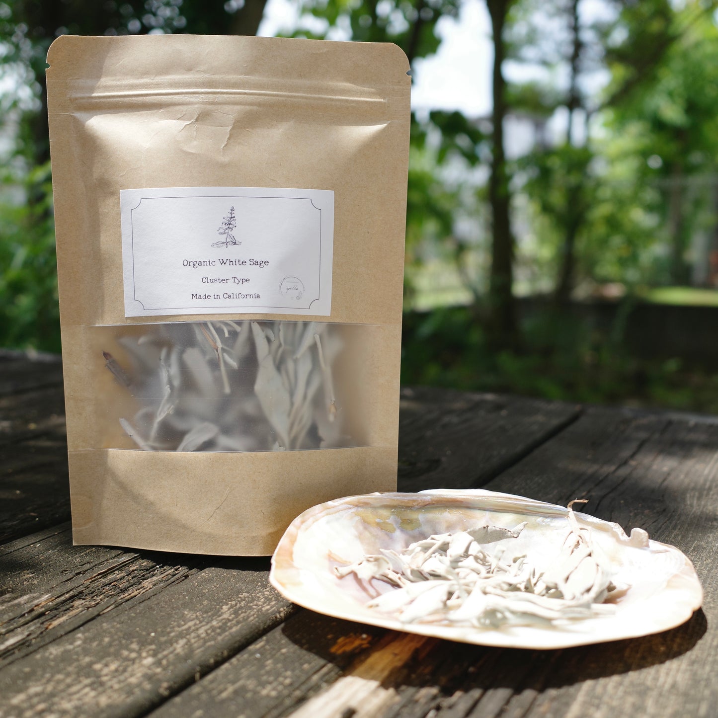 【数量限定】White sage & Pearl shell set